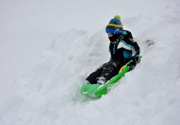 luge