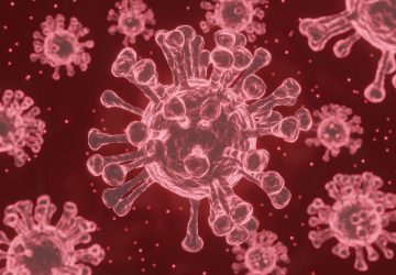 virus inconnu france (2)