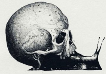 Illusion d'optique crâne, escargot, carte