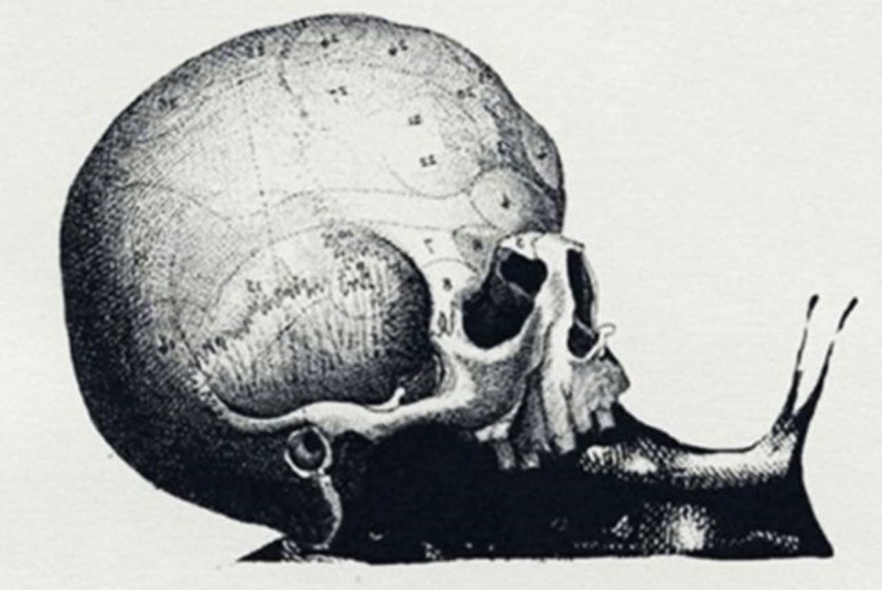 Illusion d'optique crâne, escargot, carte