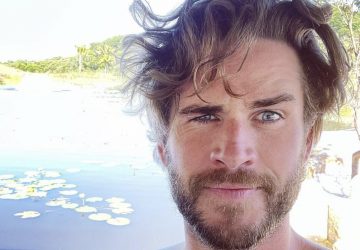 Liam Hemsworth miley Cyrus diffamation