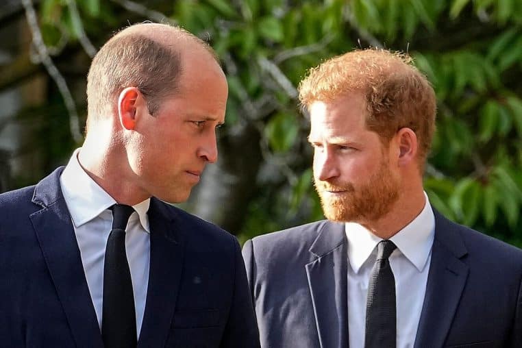 Prince Harry et William