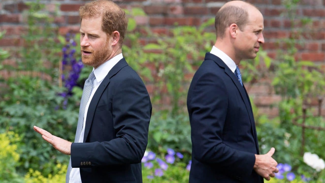 Prince Harry et William un face-à-face électrique avant le couronnement de leur père