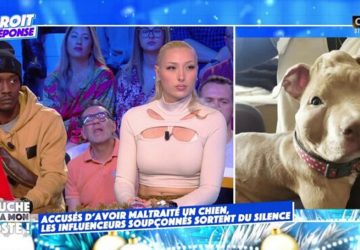 Suite à l’accusation de torture infligée à un chiot, Rop risque un an de prison