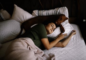 animaux nuit chat chiens insomnie santé