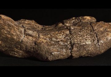 caca scientifique
