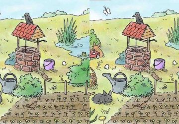 enigme difference en avant