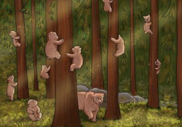 enigme-ours
