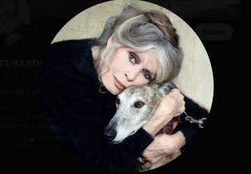 Brigitte Bardot Emmanuel Macron colère Twitter
