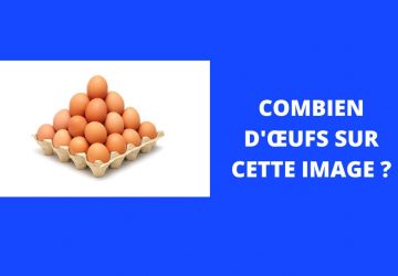 ENIGME OEUFS