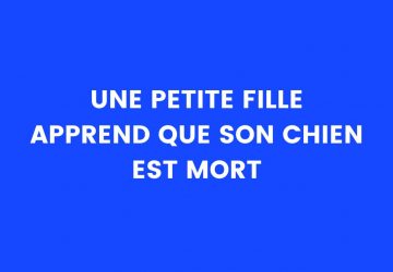 Blague du jour