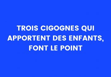 Blague du jour : trois cigognes qui apportent des enfants, font le point