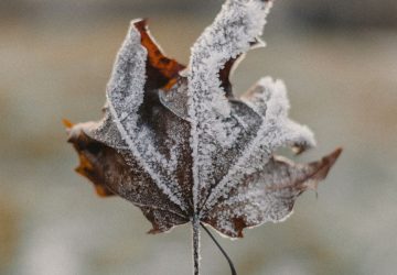 gel meteo france (2)