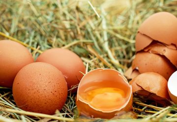 œuf oeuf conservation frigo astuce