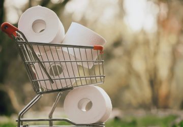 papier toilette hygiénique disparition remplaçant