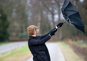 tempete france vent (1)