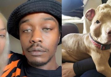 twitter chien rop condamne