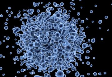Trois nouveaux virus
