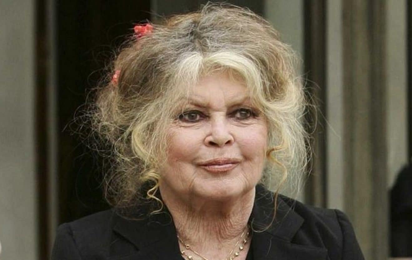 Brigitte Bardot coiffée d'une perruque ? Ces confidences incroyables !
