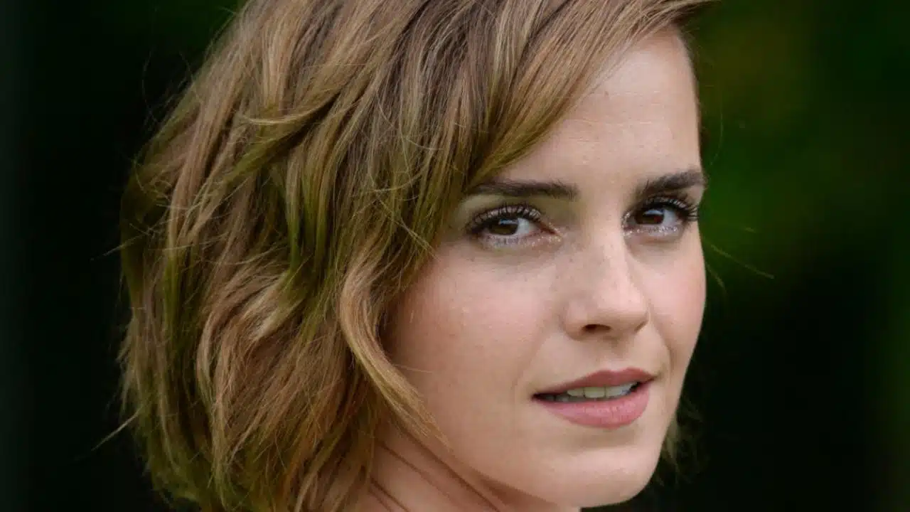 emma watson hermione granger actrice cinéma absence harry potter saga film