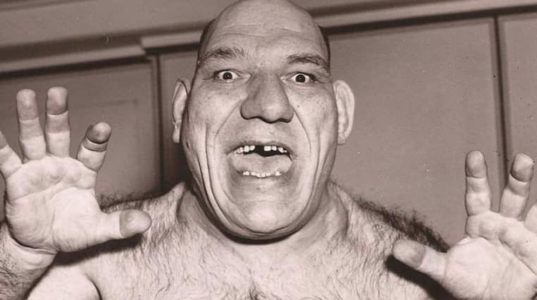 personnages dessins animés film cinéma acteur actrice maurice tillet shrek