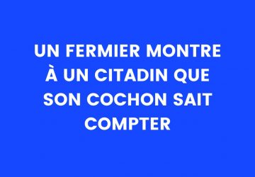 Blague du jour