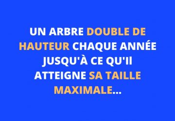Énigme du jour