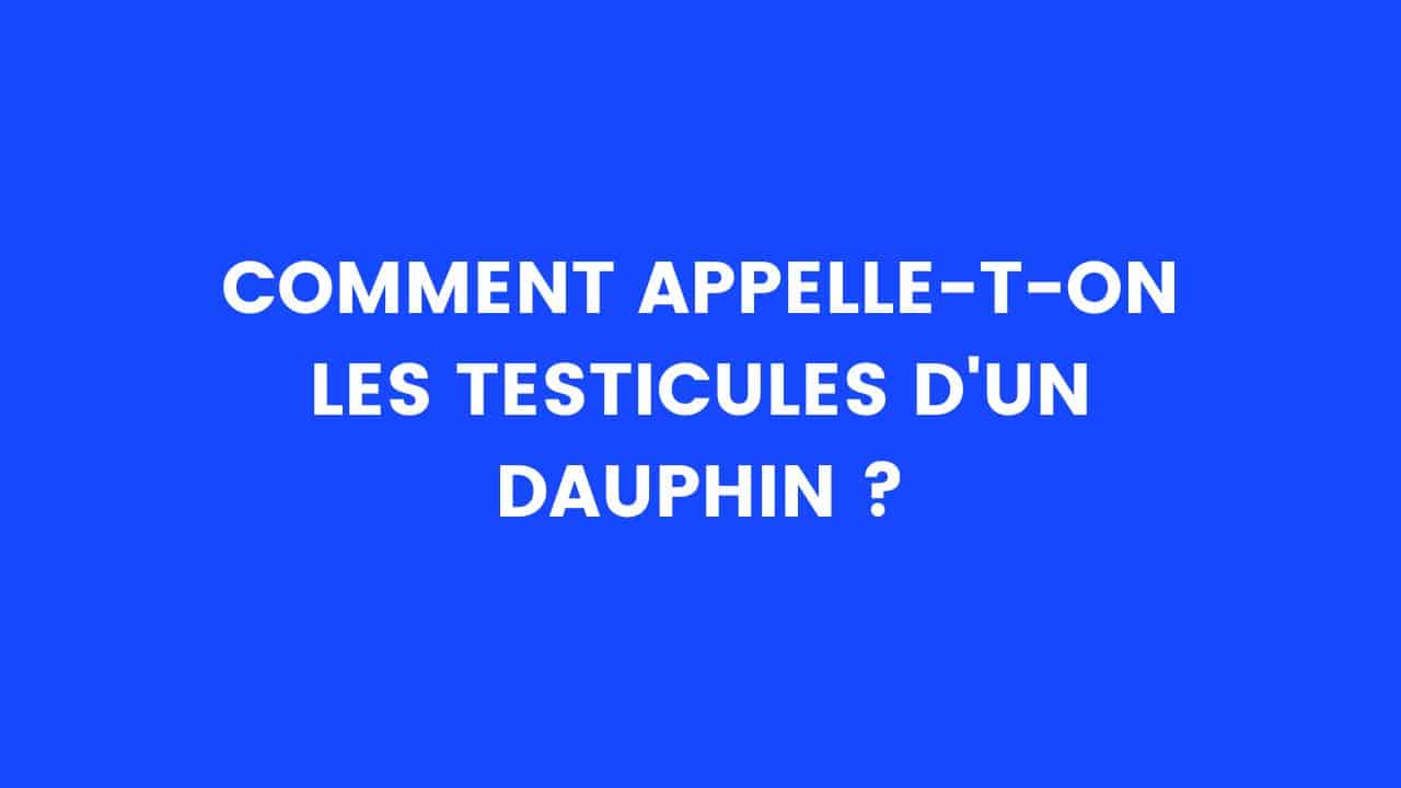 blague dauphin