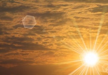 canicule