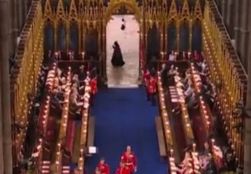 couronnement charles iii faucheuse (1)
