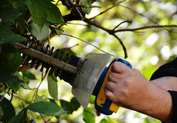 jardin branches loi amende risques jardinage