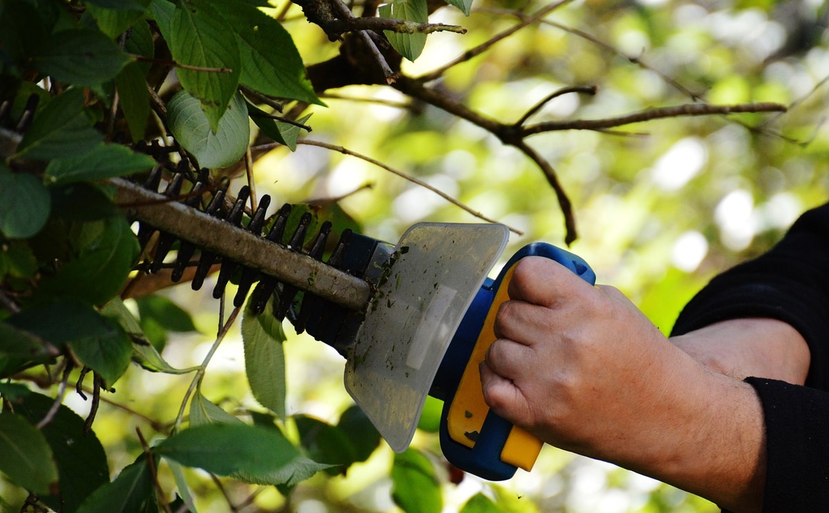 jardin branches loi amende risques jardinage