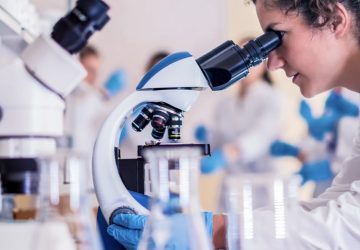 laboratoire bébés bébé conception insolite actu- expérience