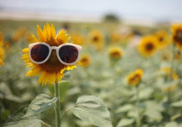 meteo beau temps soleil (1)