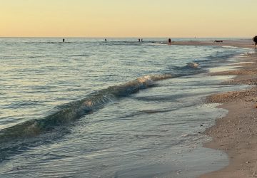 plage danger actu littoral spécialistes santé