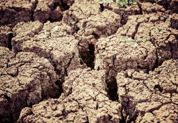 Ces départements vont manquer d'eau cet été à cause de la sécheresse