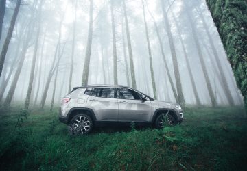 voiture préférée des français
