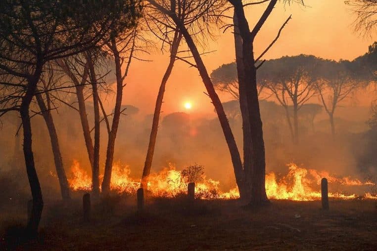 feux forêts france climat réchauffement météo