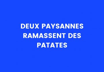 blague patates