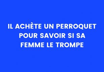 blague perroquet