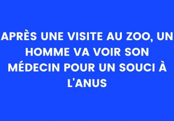 blague zoo