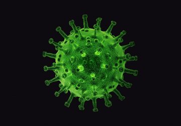 Grippe aviaire : une nouvelle campagne de vaccination en octobre