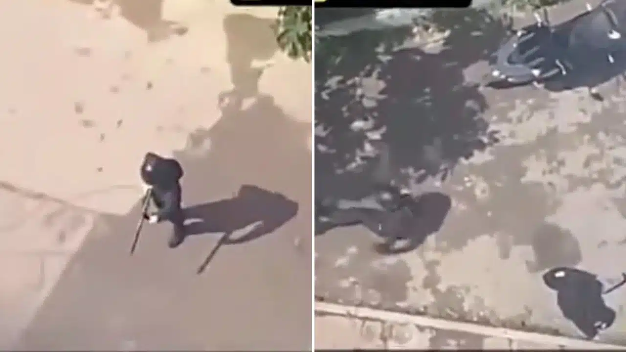 fusillade