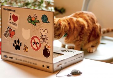 Ce grattoir en forme d'ordinateur portable sera parfait pour votre chat