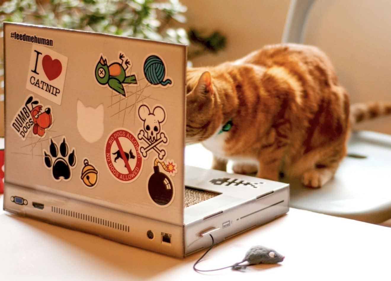 Ce grattoir en forme d'ordinateur portable sera parfait pour votre chat
