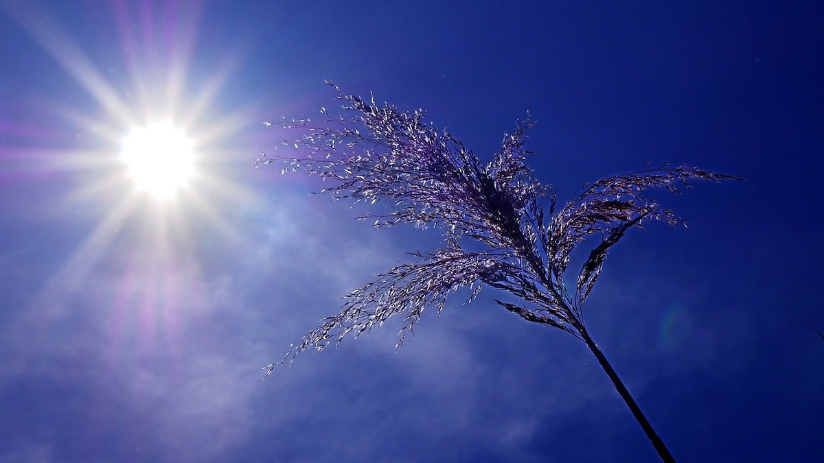 canicule de retour quelle region concernees