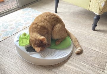 chat massage
