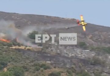 incendies grece avion crash (2)