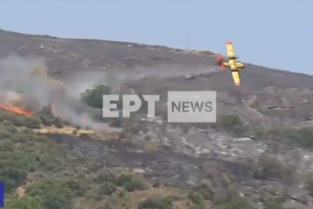 incendies grece avion crash (2)