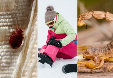 10 pires expériences vécues en vacances (5)